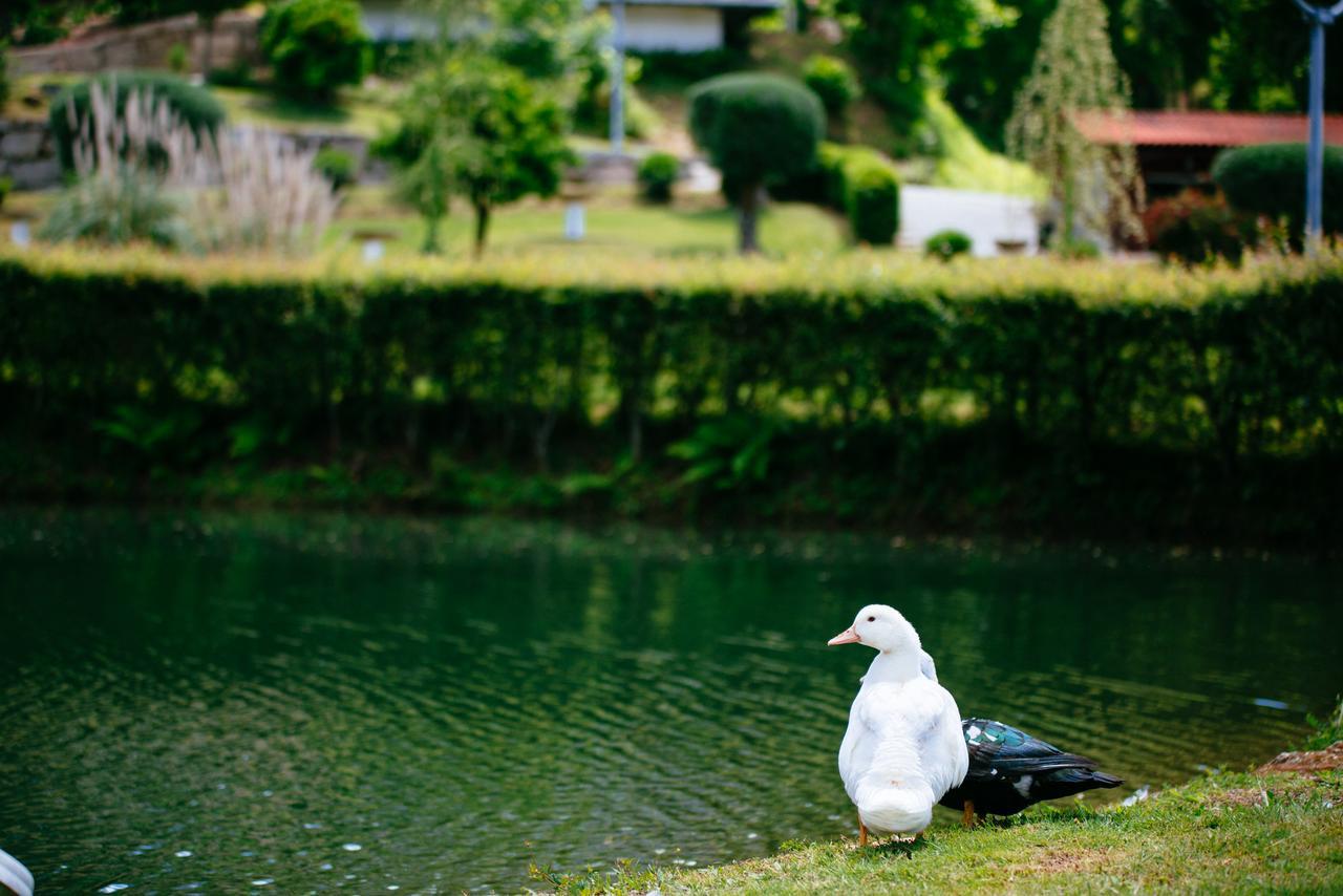 Farm stay Quinta Do Rio Geres *