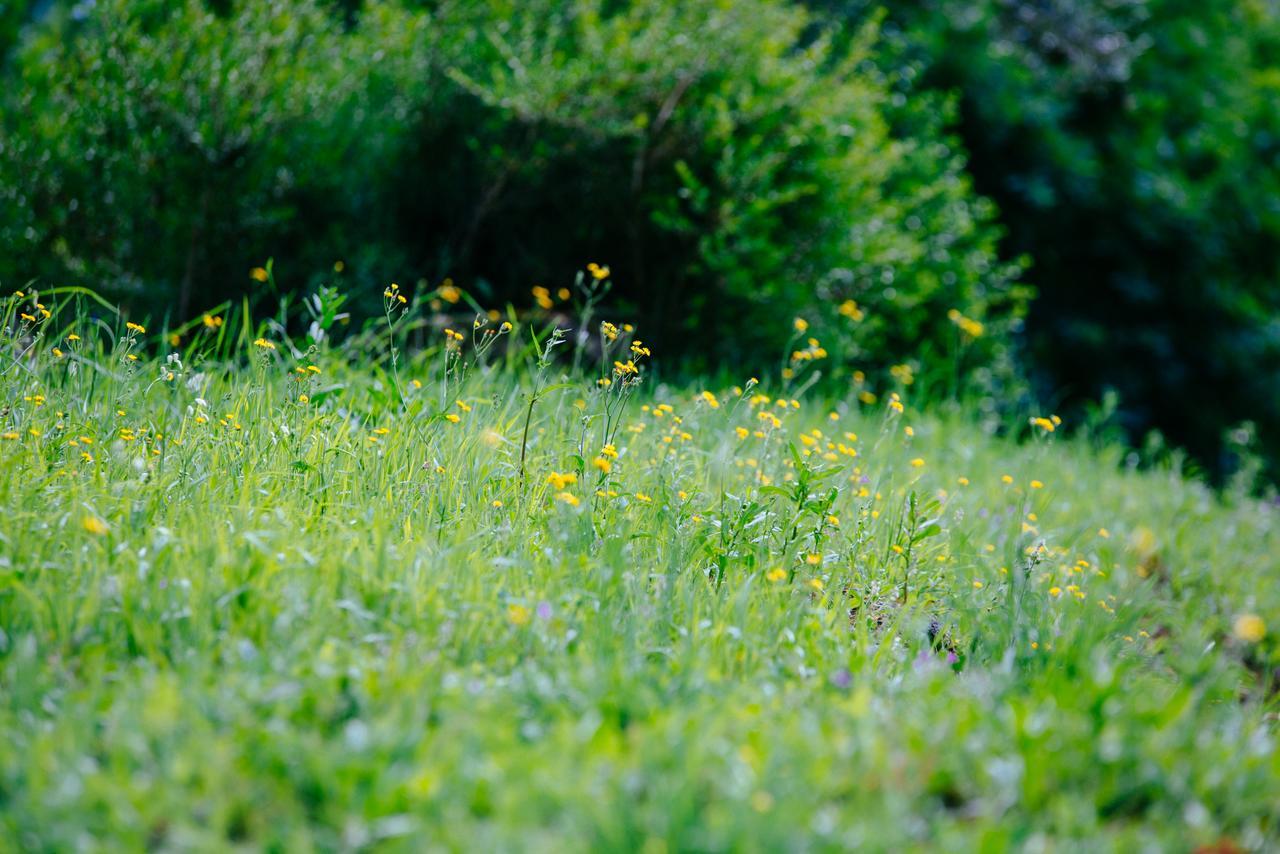 Farm stay Quinta Do Rio Geres